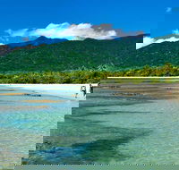 Private Daintree National Park Day Tour from Cairns Including Cape Tribulation and Mossman Gorge - Accommodation QLD