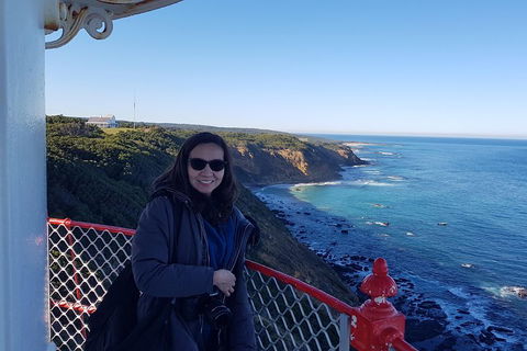 Great Ocean Road Full Day Private Experience - Accommodation QLD 1