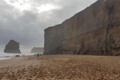 Private Express Experience - 12 Apostles - Accommodation QLD 4