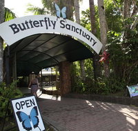Kuranda Day Trip from Port Douglas upgrade to Skyrail  Scenic train available - Accommodation QLD