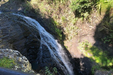 Waterfall Tour - Accommodation QLD 1