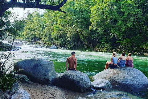 Afternoon Half-Day Daintree Rainforest And River Tour - Accommodation QLD 0