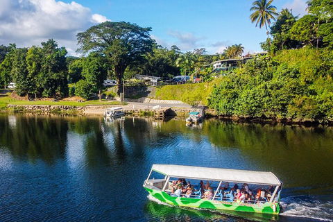 Afternoon Half-Day Daintree Rainforest And River Tour - Accommodation QLD 1