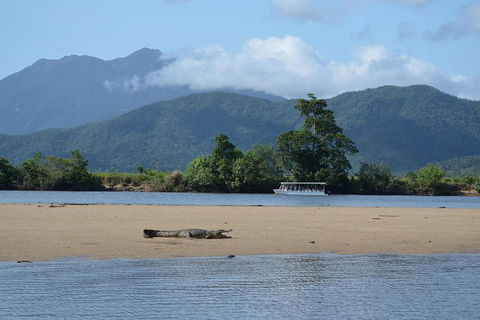 Afternoon Half-Day Daintree Rainforest And River Tour - Accommodation QLD 2