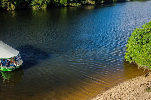 Afternoon Half-Day Daintree Rainforest And River Tour - Accommodation QLD 3