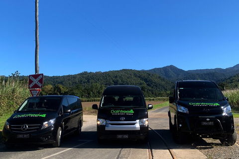 Afternoon Half-Day Daintree Rainforest And River Tour - Accommodation QLD 4