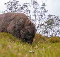 3-Day Cradle Mountain Photography Workshop