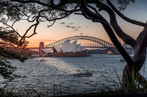 Brilliant Sunset Sydney Harbour And Night Photography Tour - Accommodation QLD 5