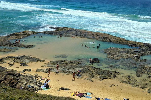 Pippies 3 Days 2 Nights Fraser Island Tour - Accommodation QLD 5