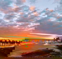 1 Hour Broome Sunset Camel Tour - Accommodation QLD