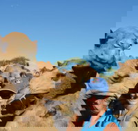 Broome Pre-sunset Camel Tour 30 minutes - Accommodation QLD