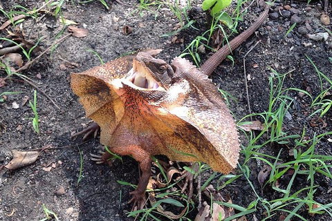 Litchfield National Park And Jumping Crocodile Cruise - Accommodation QLD 1