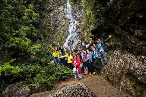 5-Day Lap Of Tasmania Tour From Hobart (flexible Ticket) - Accommodation QLD 0