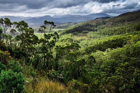 5-Day Lap Of Tasmania Tour From Hobart (flexible Ticket) - Accommodation QLD 2