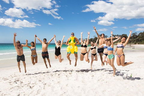 5-Day Lap Of Tasmania Tour From Hobart (flexible Ticket) - Accommodation QLD 4