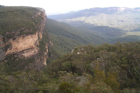 Full-Day Private Blue Mountains Tour With River Cruise - Accommodation QLD 3