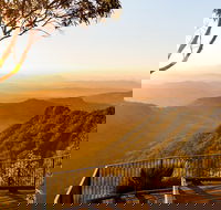 O'Reilly's  Lamington National Park incl. Alpaca Farm  Vineyard - Accommodation QLD