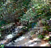 Fraser Island 4WD Tour from Rainbow Beach - Accommodation QLD