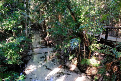 Fraser Island 4WD Tour From Rainbow Beach - Accommodation QLD 0