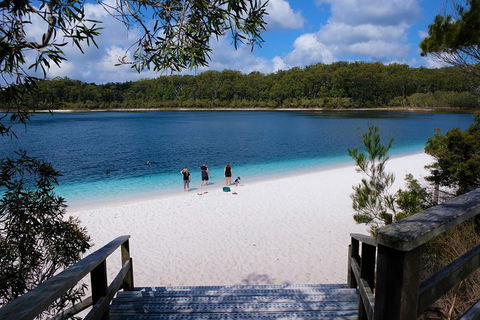 Fraser Island 4WD Tour From Rainbow Beach - Accommodation QLD 3