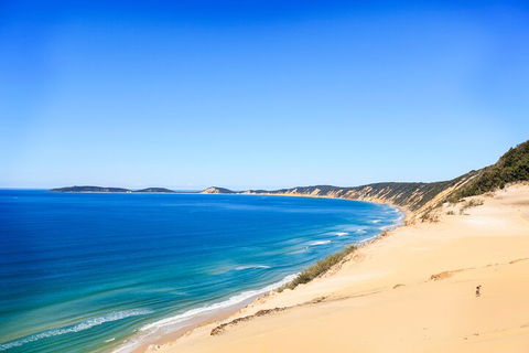 Kayak With Dolphins And 4WD Great Beach Drive Day Trip From Noosa - Accommodation QLD 0