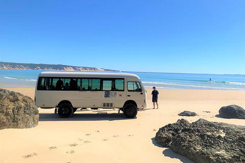 Kayak With Dolphins And 4WD Great Beach Drive Day Trip From Noosa - Accommodation QLD 4