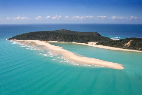 Kayak With Dolphins And 4WD Great Beach Drive Day Trip From Noosa - Accommodation QLD 5