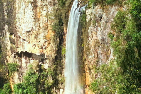 Natural Arch, Rainforest & Volcano Canyon - Private Half Day Tour - Accommodation QLD 2