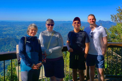 Natural Arch, Rainforest & Volcano Canyon - Private Half Day Tour - Accommodation QLD 3