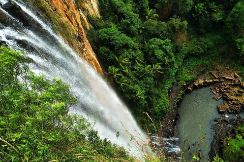 Natural Arch, Rainforest & Volcano Canyon - Private Half Day Tour - Accommodation QLD 5