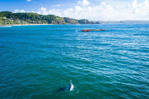 The Byron Bay Sea Kayak Tour - Accommodation QLD 2