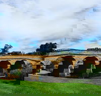 Tasmania 6 Day 'Tour in Circle' - Accommodation QLD