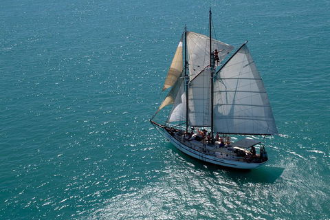 Whitehaven Beach Sailing And Snorkeling Cruise - Accommodation QLD 1