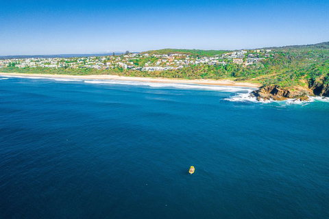 Noosa Oceanrider Scenic Dolphin Safari - Accommodation QLD 4
