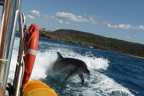 Noosa Oceanrider - Adventure Tour - Accommodation QLD 1