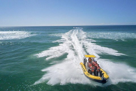 Noosa Oceanrider - Adventure Tour - Accommodation QLD 2