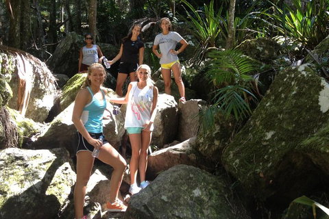 Byron Bay Hinterland Tour Including Rainforest Walk To Minyon Falls - Accommodation QLD 3