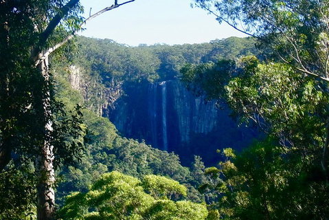 Byron Bay Hinterland Tour Including Rainforest Walk To Minyon Falls - Accommodation QLD 4