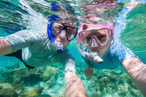 Whitehaven Beach And Hill Inlet Lookout Full-Day Snorkeling Cruise By High-Speed Catamaran - Accommodation QLD 2