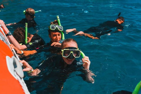 Whitehaven Beach And Hill Inlet Lookout Full-Day Snorkeling Cruise By High-Speed Catamaran - Accommodation QLD 3