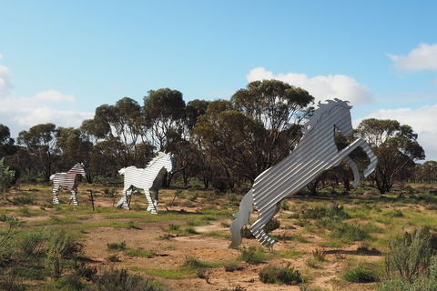 Wave Rock, Wild Flowers And Astro Photography - Accommodation QLD 5