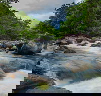 Cape Tribulation Day Tour - Accommodation QLD