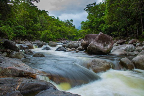 Cape Tribulation Day Tour - Accommodation QLD 0