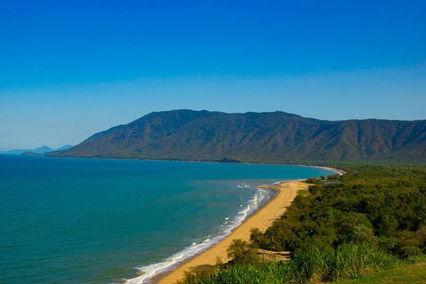Cape Tribulation Day Tour - Accommodation QLD 1