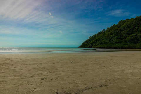 Cape Tribulation Day Tour - Accommodation QLD 2