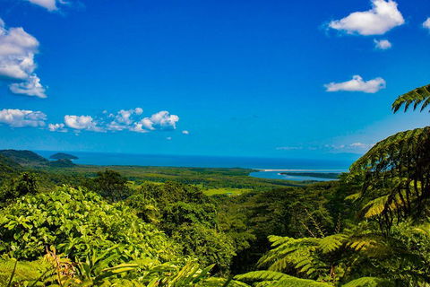 Cape Tribulation Day Tour - Accommodation QLD 3