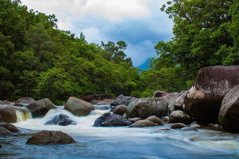 Cape Tribulation Day Tour - Accommodation QLD 4