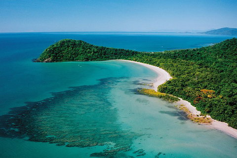 Daintree Rainforest, Cape Tribulation, Mossman Gorge Small-Group Day Tour - Accommodation QLD 4