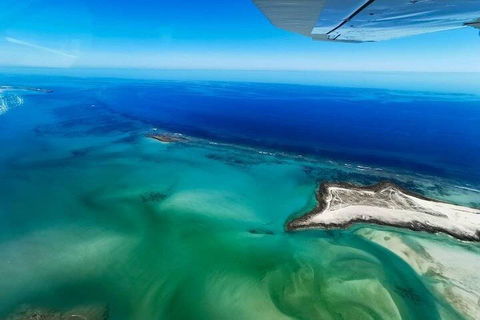 Wet Season Incredible Islands Tour - Horizontal Falls & Cygnet Bay Pearl Farm - Accommodation QLD 4