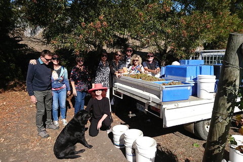 Valleys Of Vino Tour - Accommodation QLD 1
